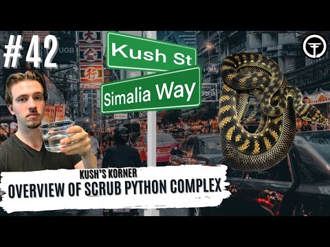 OVERVIEW OF THE SCRUB PYTHON COMPLEX | KUSH'S KORNER LIVE