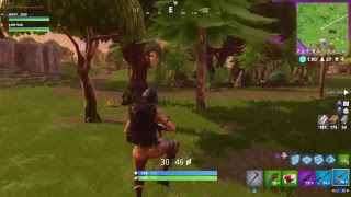 【FORTNITE】みーさんとまったりフォートナイト【PS4】