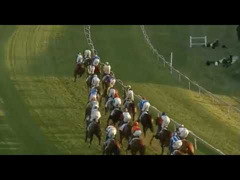 2019 Summer Cup  Zillzaal