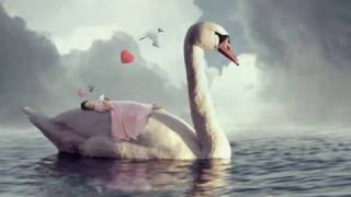 LUIS EDUARDO AUTE PRODIGIOS