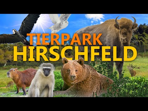 Tierpark Hirschfeld - was für eine Überraschung! | Zoo-Eindruck