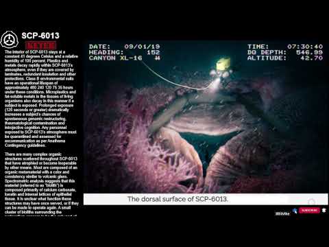 SCP-6013