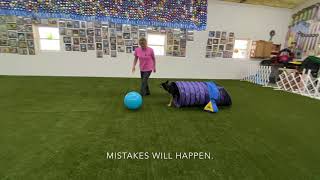 Teach dog to control a ball