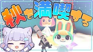 【あつ森】秋を満喫する◝✩まったりたのしむ