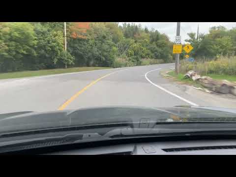 Twyn Rivers Drive Road Trip in Rouge National Park