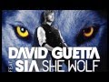 David Guetta - She Wolf (Falling to Pieces ...