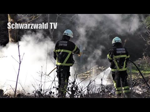 🔥🚒 Feuerwehr Schopfheim löscht Feuer im Wald zwischen Hasel und Schopfheim [08.04.2021]