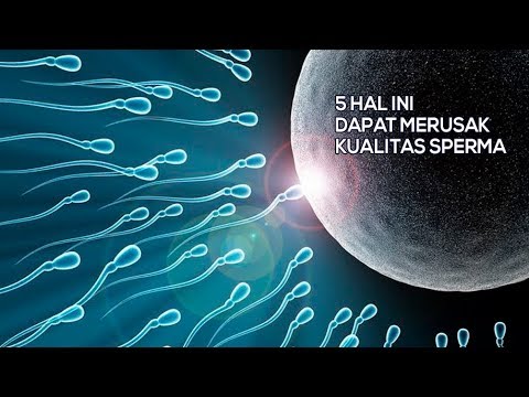 Jimat palu Thor untuk domba Bagaimana meningkatkan penis dan bagaimana melakukannya