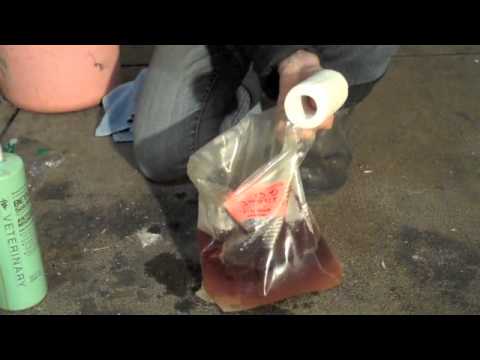 YouTube video about: How to use clean trax for horses?
