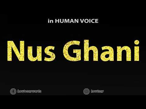 How To Pronounce Nus Ghani
