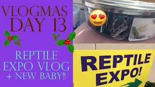 Vlogmas Day 13 | REPTILE EXPO VLOG + NEW BABY!!