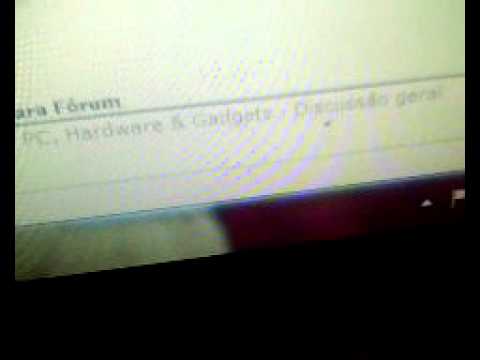 Formiga que entrou no monitor