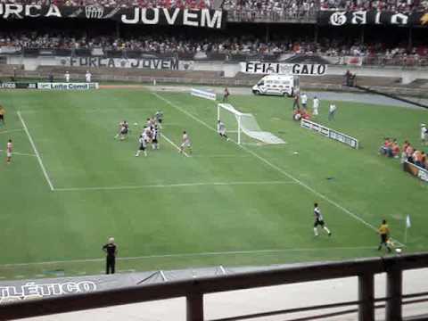 Galo - Bola na trave