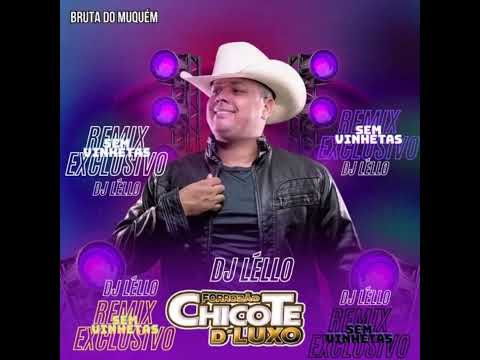 Chicote de luxo - Bruta do Muquém - Remix Dj Léllo