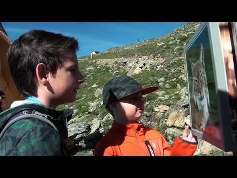 Goldener-Mann-Weg. Fiss.