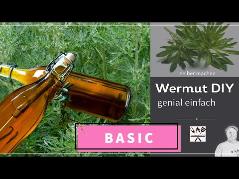 Wermut selber machen – Hausgemachter Noilly Prat mit Weißwein & Kräutern! 🍷