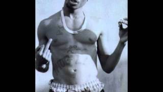 Letter To The President 2pac Slowed N Chopped