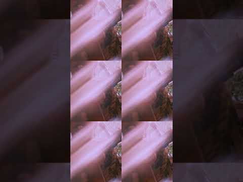 Leo Middea - Tibethânica (Daragão)