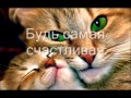 Видео открытка С ДНЕМ РОЖДЕНИЯ, МАМА! 