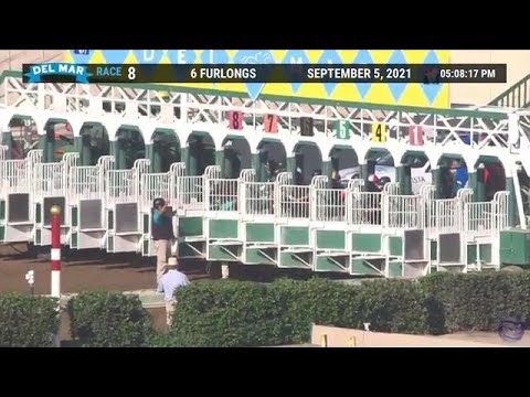 Horse Racing Replay: Flightline stuns with a 117 Brisnet Speed Rating at Del Mar Sept. 5