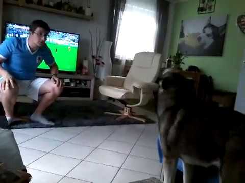 Lucky ist traurig über den Abstieg von TSV 1860 München