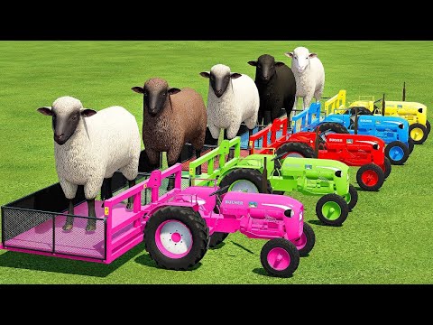 TRANSPORTING SHEEP WITH BUCHER MINI TRACTOR & TAM TRUCKS - Farming Simulator 22