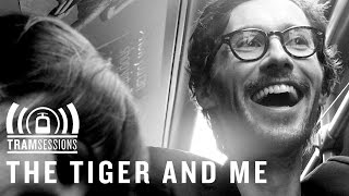 The Tiger and Me - Oh My Darlin' | Tram Sessions