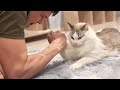 UNUSUAL MEMES COMPILATION V318