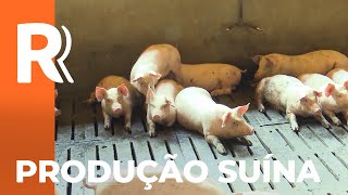 Miniatura do vídeo