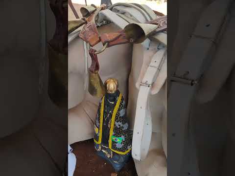 queima do alho Santa Cruz da esperança comitiva amigos inseparáveis