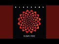 Blown Rose