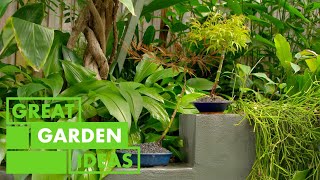 How to pot a Bonsai | GARDEN | Great Home Ideas