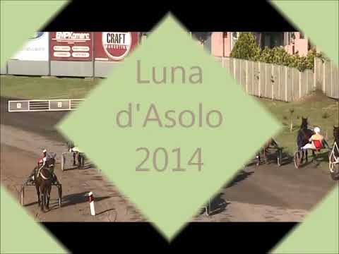 KK BAČKA SUBOTICA  26.06.2022.    Luna d'Asolo-2014