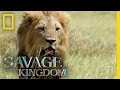 Execution Or Exile Savage Kingdom