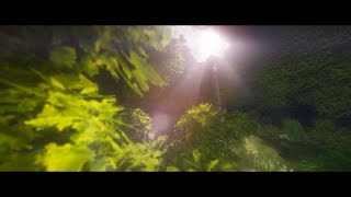 マイクラpe 影mod 入れ方 تنزيل الموسيقى Mp3 مجانا