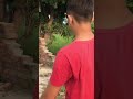 Pink Pussy ‍ Dog Pitbull Viral Shorts