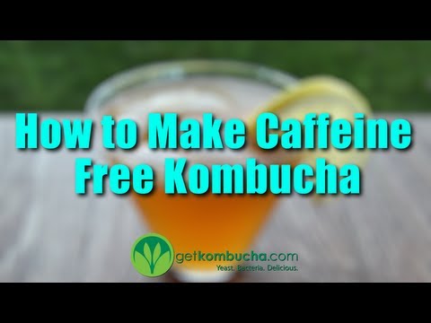 download lagu mp3 mp4 Kombucha Tea Caffeine Free, download lagu Kombucha Tea Caffeine Free gratis, unduh video klip Kombucha Tea Caffeine Free