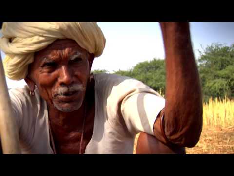 CK Wanderer - Pustna ruza