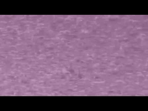 DELLAFUENTE - Hold On We're Going Home RMX ♥ ♥