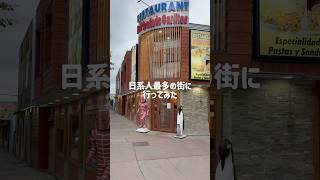 【南米ひとり旅】現地語で話しかけられる日本になじみある国