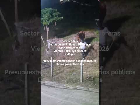 Fresno Tolima - Viernes 1 de Mayo de 2026 en Lote Institucional