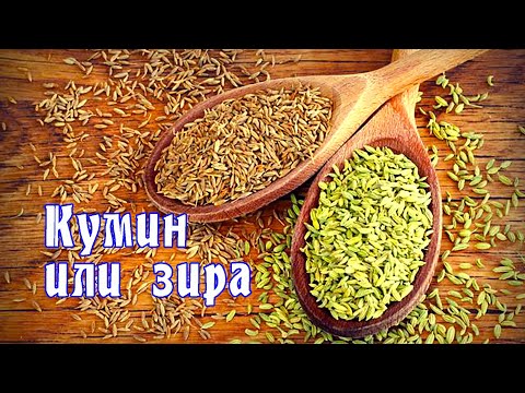 , title : 'Специи. Кумин или зира. Применение, полезные свойства зиры / Cumin (zira) / ENG SUB'