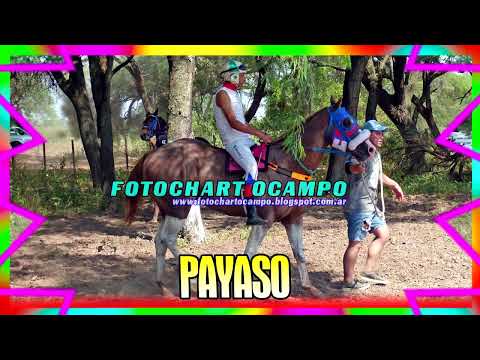 PAYASO - Tres Isletas - Chaco 31/03/2024