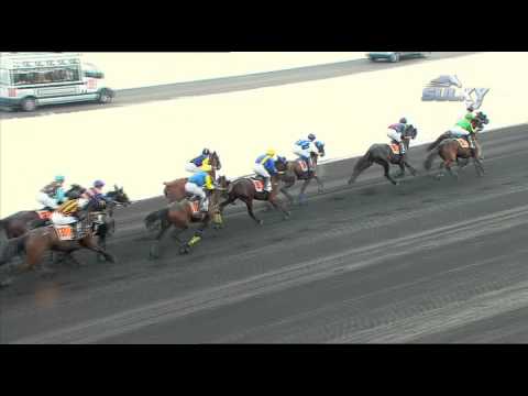Prix de Vincennes 2010 - Course au Trot - Hippodrome Paris-Vincennes
