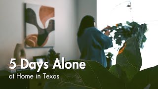 【アメリカ生活VLOG】少し静かな家時間。夫がいない5日間を心地よく過ごすダラスの日常