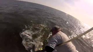 preview picture of video 'Charter Fishing Boat Deale MD, Herring Bay Charters, LLC'