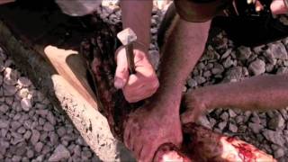 The Crucifixion of Jesus