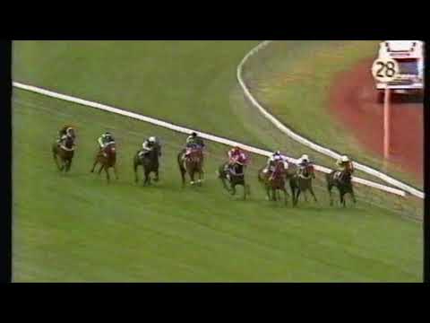 1991 Gadsden Stakes - Final Card