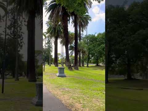 Es más que una excelente tarde en el parque General Paz en #saavedra #walking #shorts #tour #bsas