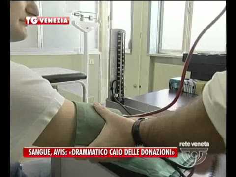 VENEZIA TG - 31/07/2015 - ALLARME DELL'AVIS: “NON ABBIAMO PIÙ SANGUE"